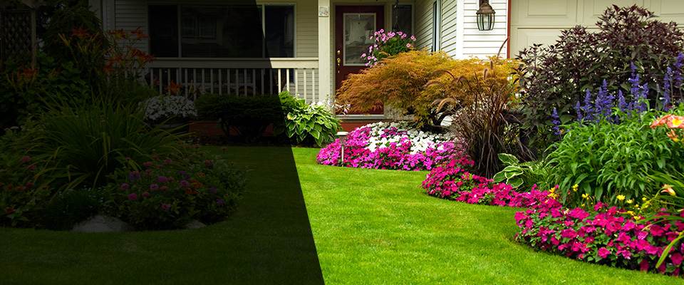 Allen Landscapers