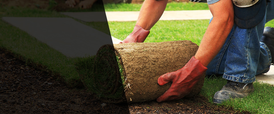 Allen Landscapers